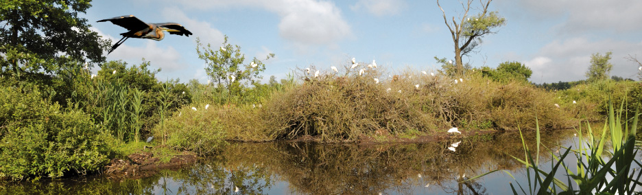 Le Garziaie della Lomellina